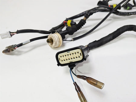 2011 Ducati Streetfighter 1098 S Main Wiring Harness Loom -Great Shape 51016621B {{ shop.shopifyCountryName }} - Mototech271