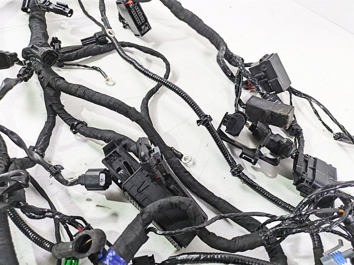 2023 BMW G310R K03 Wiring Harness Loom - No Cuts 61111541006 {{ shop.shopifyCountryName }} - Mototech271