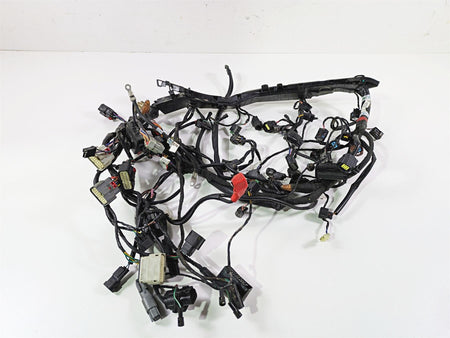 2024 Triumph Tiger 900 GT Main Wiring Harness Loom - No Cut T2507820 T2502370 {{ shop.shopifyCountryName }} - Mototech271