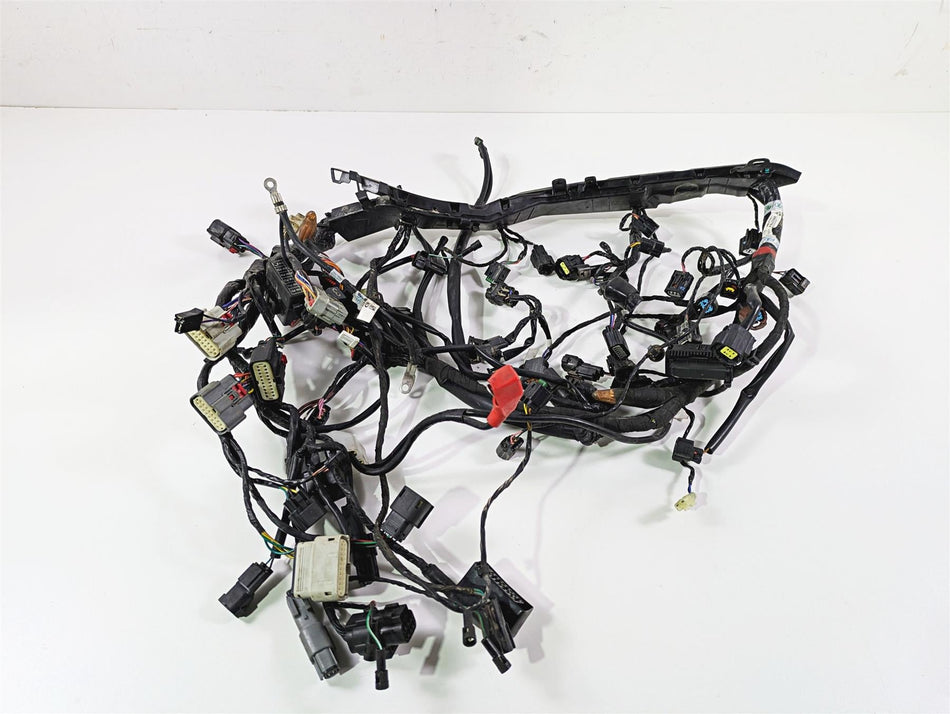 2024 Triumph Tiger 900 GT Main Wiring Harness Loom - No Cut T2507820 T2502370 {{ shop.shopifyCountryName }} - Mototech271