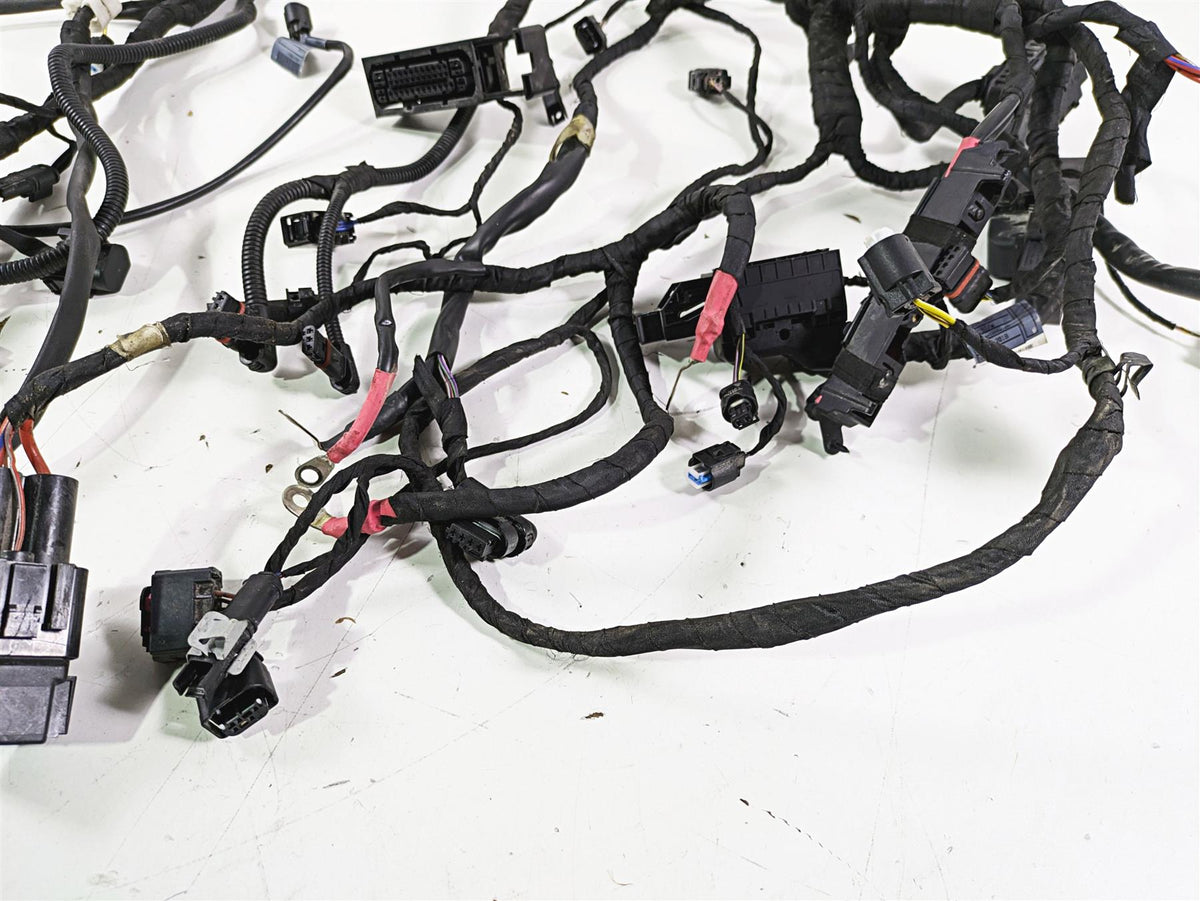 2018 BMW R1200GS GSW K50 Main & Engine Wiring Harness Abs 61118394905 8544469 {{ shop.shopifyCountryName }} - Mototech271