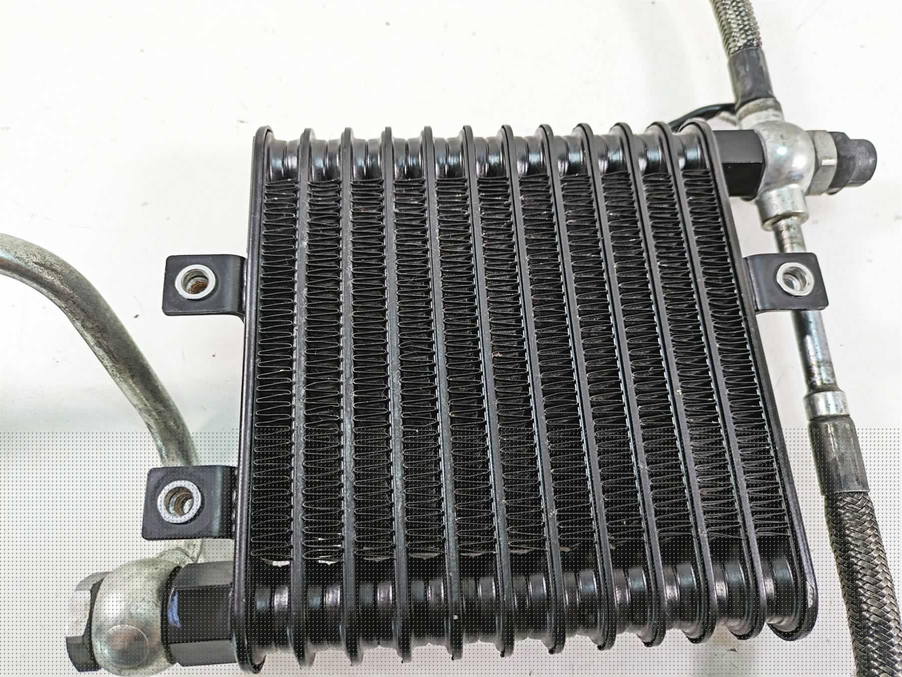 2011 Triumph America Oil Cooler & Line Set T1210226 T2100281 {{ shop.shopifyCountryName }} - Mototech271