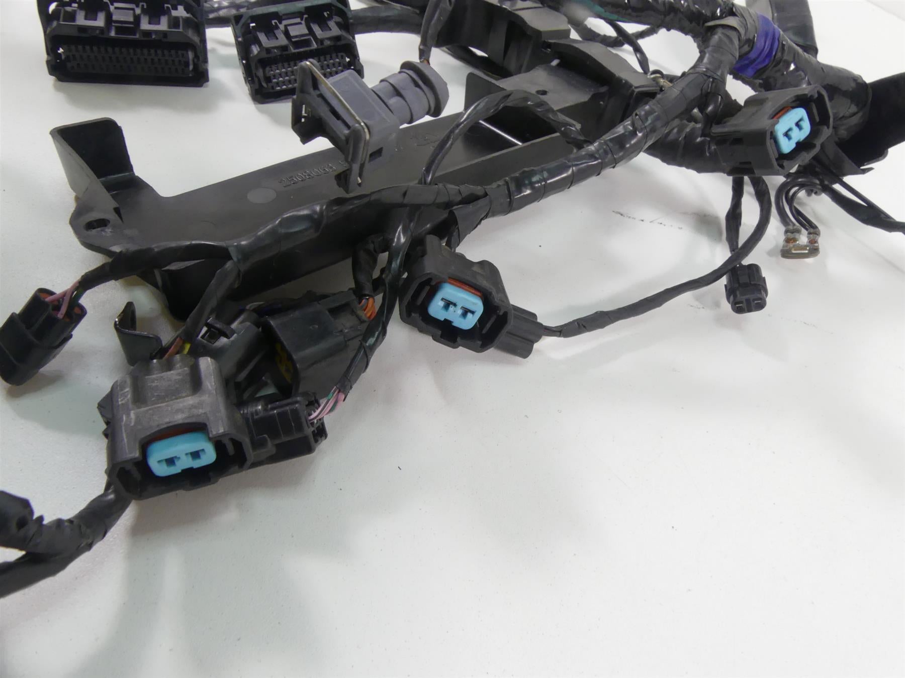 2013 Triumph Street Triple 675R Wiring Harness Abs Version - No Cuts T2508065 {{ shop.shopifyCountryName }} - Mototech271