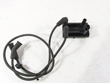 2017 Harley Touring FLTRXS Road Glide Delphi Ignition Coil & 2 Wires 31600017 {{ shop.shopifyCountryName }} - Mototech271