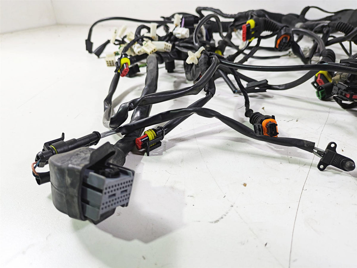 2014 Moto Guzzi California 1400 Touring Wiring Harness Loom -No Cuts 2D000190 {{ shop.shopifyCountryName }} - Mototech271