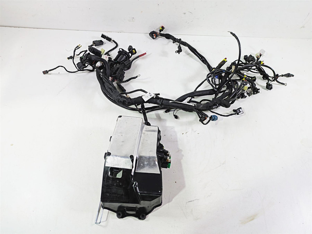 2022 Ducati Scrambler Desert Sled Main Wiring Harness Loom - Read 5101E241C {{ shop.shopifyCountryName }} - Mototech271