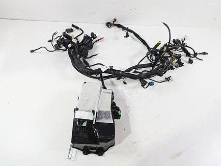2022 Ducati Scrambler Desert Sled Main Wiring Harness Loom - Read 5101E241C {{ shop.shopifyCountryName }} - Mototech271