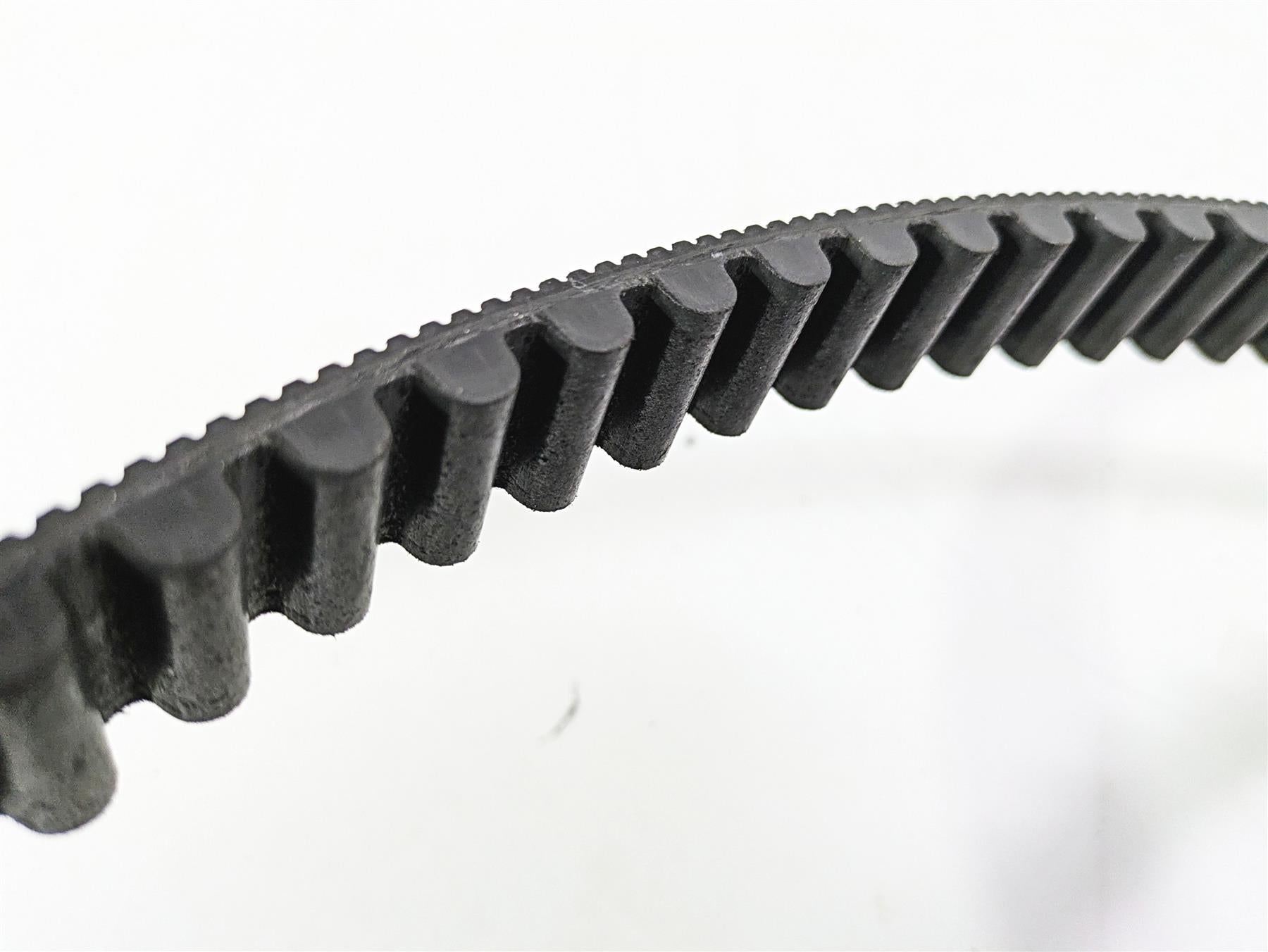 2016 Harley VRSCDX Night Rod Rear Drive Belt 151T 1" 40144-07 {{ shop.shopifyCountryName }} - Mototech271