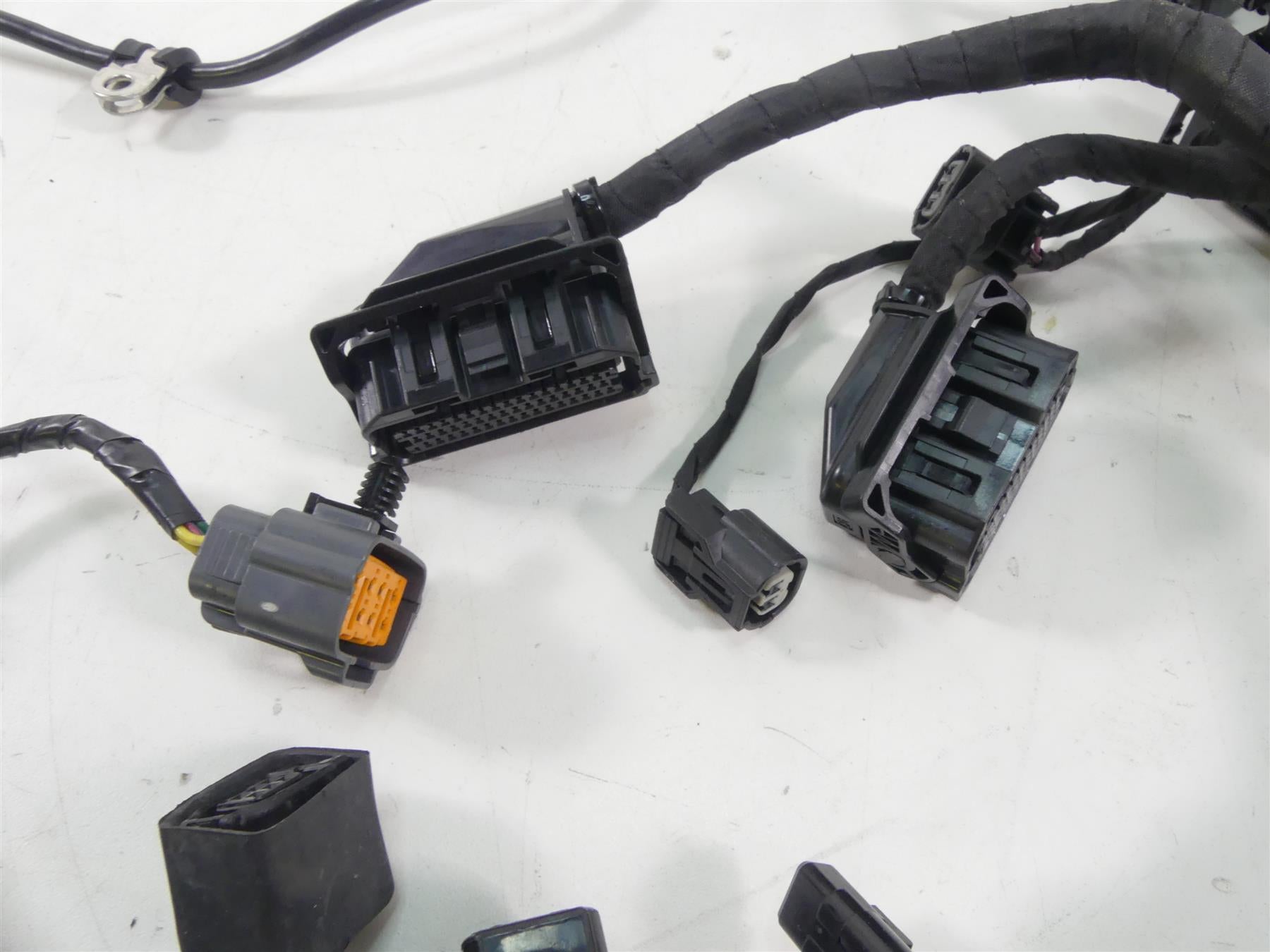 2018 Triumph Street Triple 765RS Main Wiring Harness Loom T2508056 {{ shop.shopifyCountryName }} - Mototech271