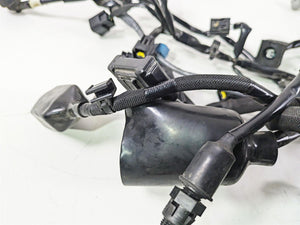 2022 Kawasaki ZR900RS Cafe Main Wiring Harness Loom - No Cuts 26031-2950