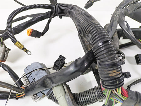 2004 Harley Softail FXSTDI Deuce Wiring Harness Loom EFI - Read 70431-04 {{ shop.shopifyCountryName }} - Mototech271