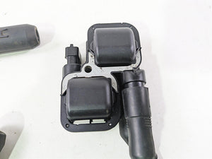 2017 Indian Chieftain Limited Ignition Coil & Wire Set 4010425 2876049
