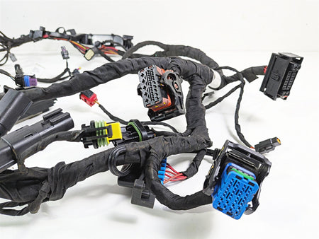 2023 Harley Adv RA1250 S Pan America Wiring Harness Loom FOR PARTS 69202185B {{ shop.shopifyCountryName }} - Mototech271
