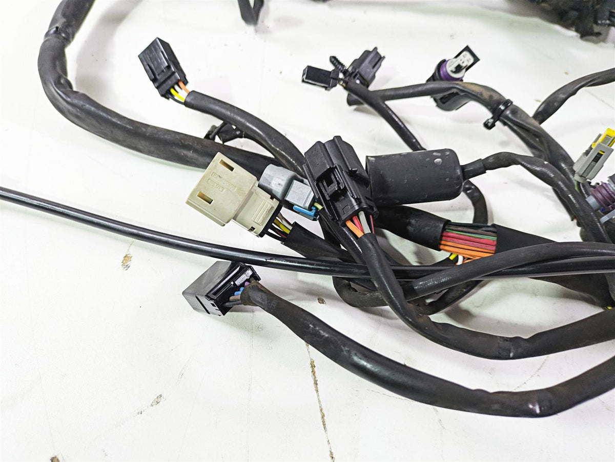 2008 Harley FLSTC 105TH Softail Heritage Wiring Harness Loom - Read 70431-08A {{ shop.shopifyCountryName }} - Mototech271