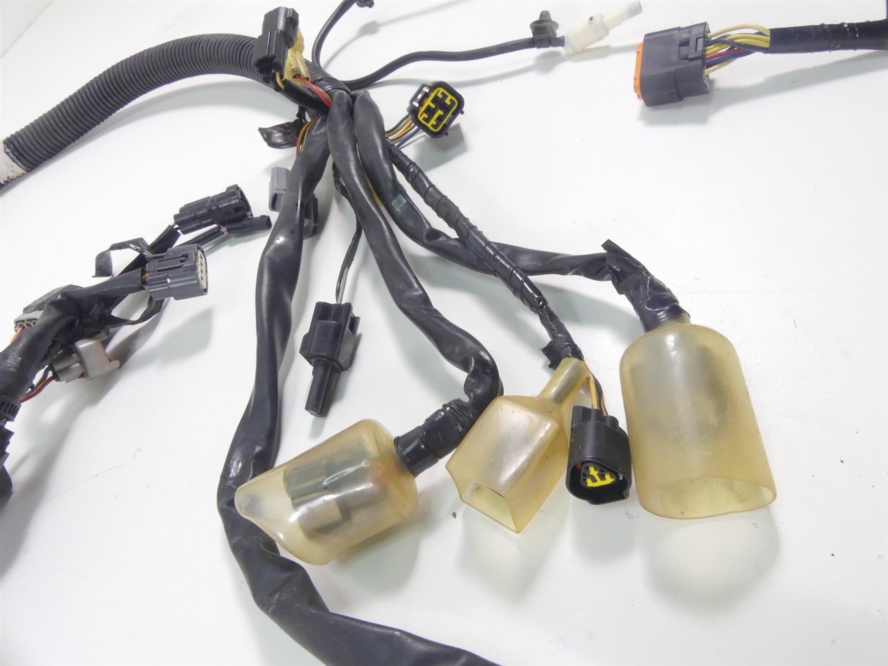 2015 Yamaha Waverunner VX1100 Cruiser Main Wiring Harness 2015 Yamaha Waverunner VX1100 Cruiser Main Wiring Harness