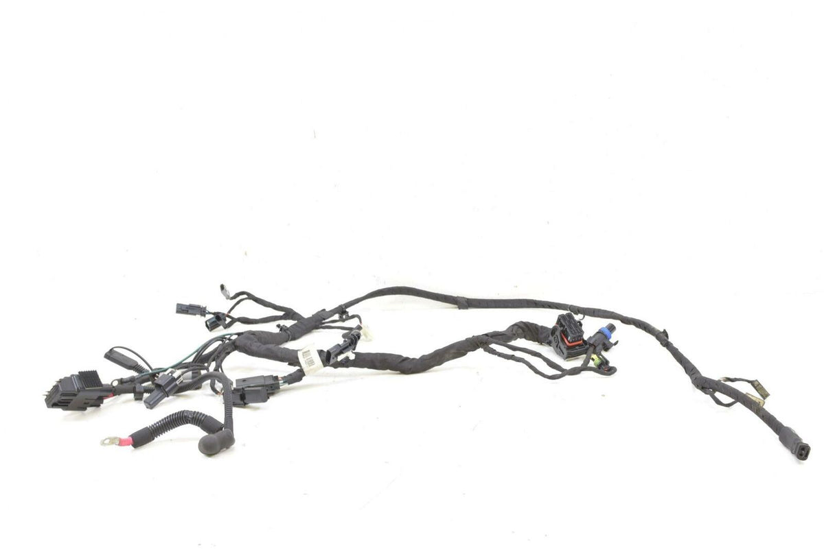 2019 Harley Softail FXLR Low Rider Wiring Harness Loom -Non Abs -No Cuts 6920149 {{ shop.shopifyCountryName }} - Mototech271