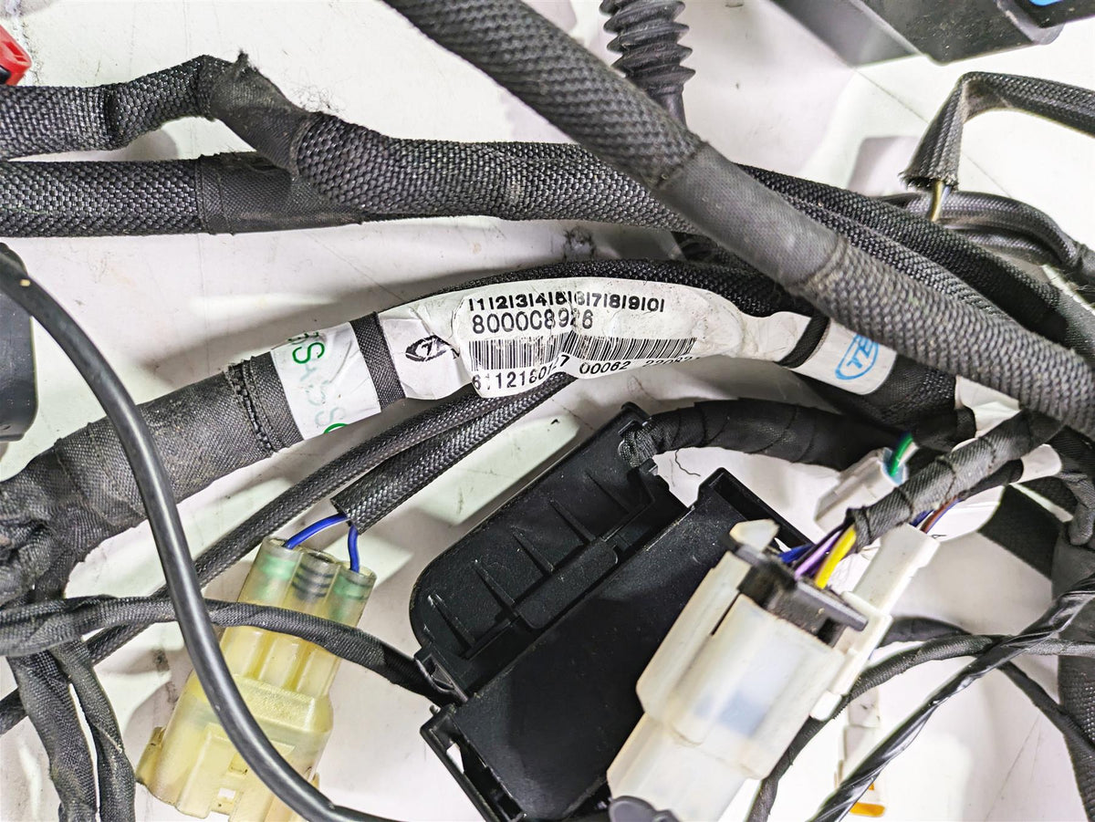 2022 MV Agusta F3 800 Rosso Main Wiring Harness Loom 8000C8926 {{ shop.shopifyCountryName }} - Mototech271