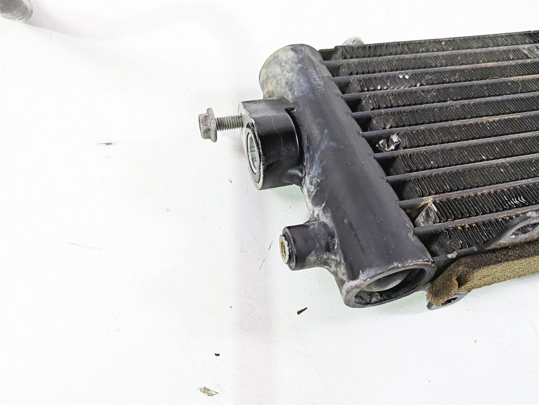 2013 Harley VRSCF Muscle Rod Oil Cooler & Lines Hoses 26723-04 {{ shop.shopifyCountryName }} - Mototech271