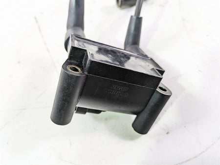 2016 Harley Touring FLTRX Road Glide Ignition Coil & Wires Set Delphi 31696-07A {{ shop.shopifyCountryName }} - Mototech271