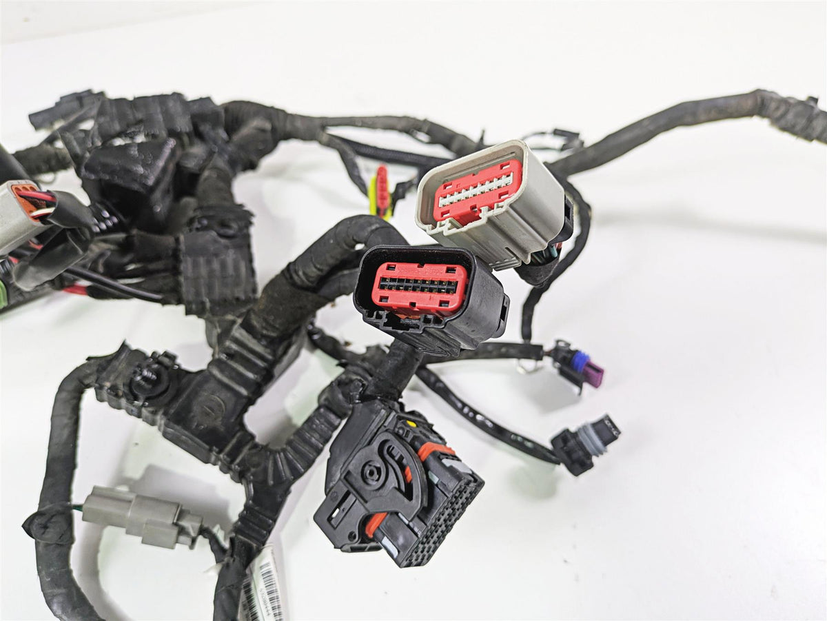 2014 Harley FXDF Dyna Fat Bob Wiring Harness Loom Non Abs 71075-12A 69200455 {{ shop.shopifyCountryName }} - Mototech271