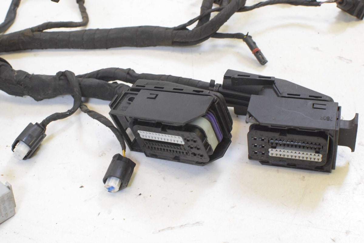 2009 BMW R1200 GS K255 Adv Main Wiring Harness For Parts 7718025 {{ shop.shopifyCountryName }} - Mototech271