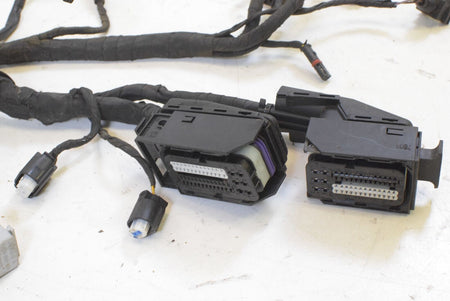 2009 BMW R1200 GS K255 Adv Main Wiring Harness For Parts 7718025 {{ shop.shopifyCountryName }} - Mototech271