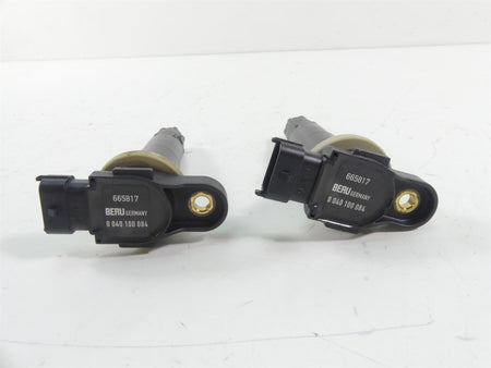 2015 Eric Buell Racing 1190SX Beru Ignition Coil Set 665817 0040100084 {{ shop.shopifyCountryName }} - Mototech271