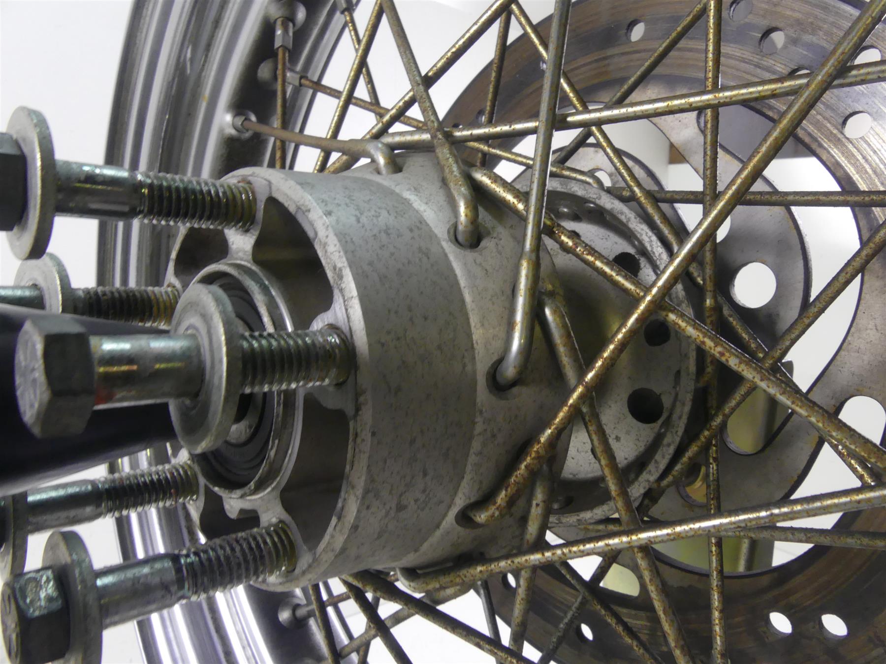 2005 Harley Softail FLSTSC Heritage Springer Rear Spoke Wheel 16x3 43014-05B {{ shop.shopifyCountryName }} - Mototech271