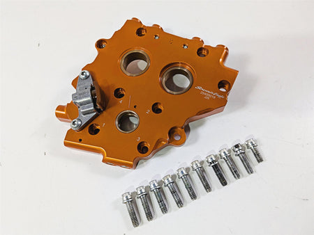 2017 Harley FXSE CVO Pro Sreet Breakout Screamin Eagle Cam Plate Set 25400019-Mototech271
