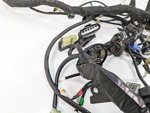 2018 KTM 1090 Adventure R Main & Engine Wiring Harness 60811075000 60411085100