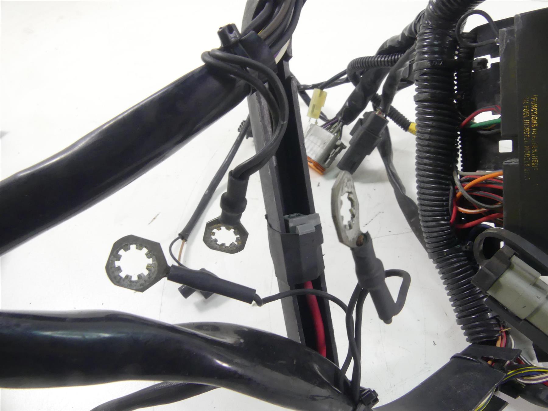 2005 Harley Softail FLSTSC Heritage Springer Main Wiring Harness Loom 70216-04A {{ shop.shopifyCountryName }} - Mototech271