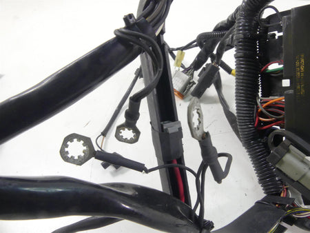 2005 Harley Softail FLSTSC Heritage Springer Main Wiring Harness Loom 70216-04A {{ shop.shopifyCountryName }} - Mototech271