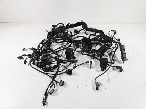 2016  BMW R1200GS GSW K50 Main & Engine Wiring Harness -No Cuts 61118562116 | Mototech271