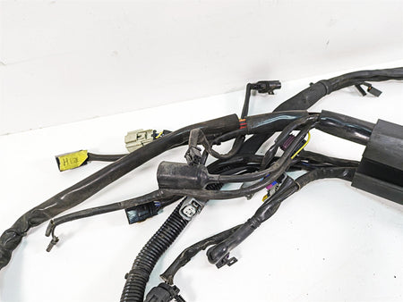 2009 Harley Softail FLSTSB Cross Bones Wiring Harness Loom No Cuts 70431-08A {{ shop.shopifyCountryName }} - Mototech271