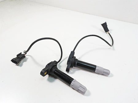 2020 Ducati Hypermotard 950 SP Beru Ignition Coils Stick Coil Set 38010145B {{ shop.shopifyCountryName }} - Mototech271