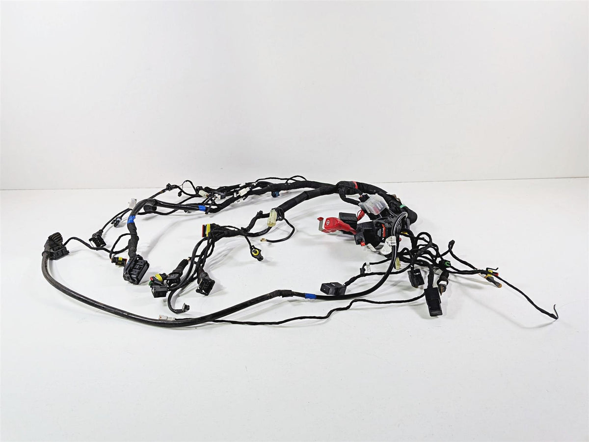 2015 Ducati Scrambler Urban Enduro Main Wiring Harness Loom - Read 51019821F-Mototech271