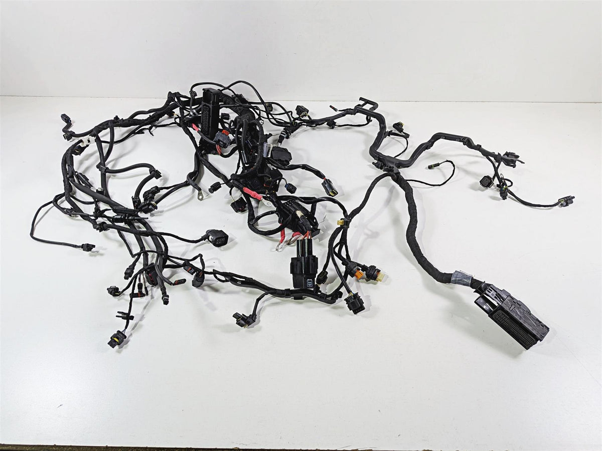 2019 BMW R1250GS K50 Main & Engine Wiring Harness Esa - No Cuts 61119480785 {{ shop.shopifyCountryName }} - Mototech271