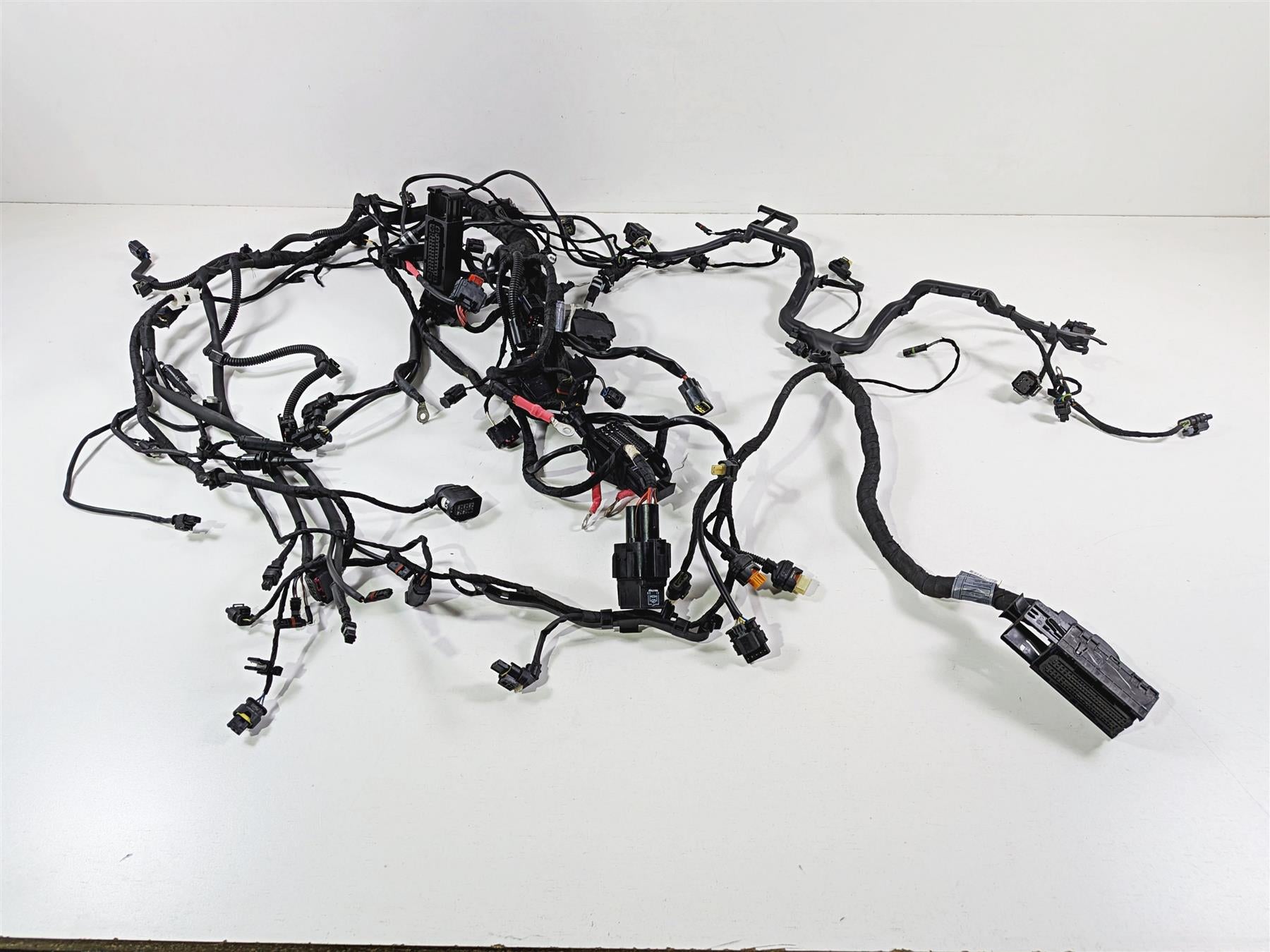2019 BMW R1250GS K50 Main & Engine Wiring Harness Esa - No Cuts 61119480785 {{ shop.shopifyCountryName }} - Mototech271