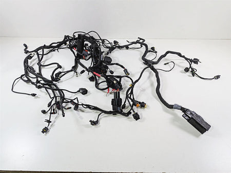 2019 BMW R1250GS K50 Main & Engine Wiring Harness Esa - No Cuts 61119480785 {{ shop.shopifyCountryName }} - Mototech271