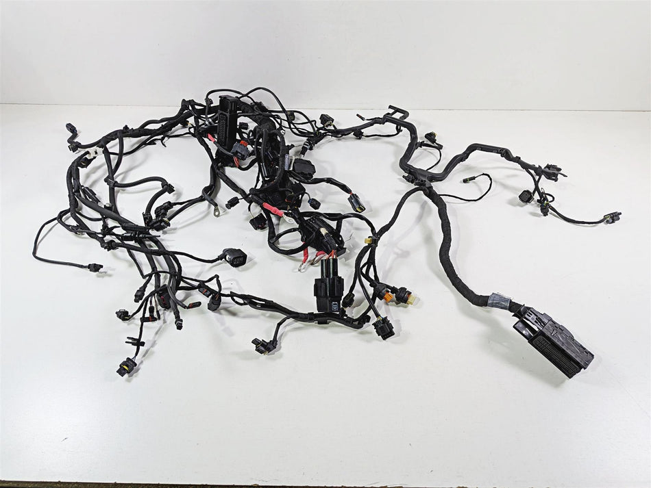 2019 BMW R1250GS K50 Main & Engine Wiring Harness Esa - No Cuts 61119480785 {{ shop.shopifyCountryName }} - Mototech271