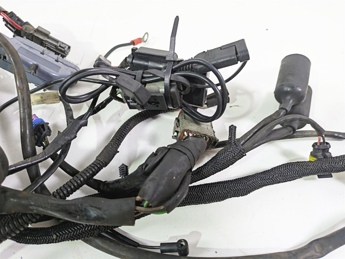 2009 Harley XR1200 Sportster Main & Engine Wiring Harness - Read 70225-08 {{ shop.shopifyCountryName }} - Mototech271