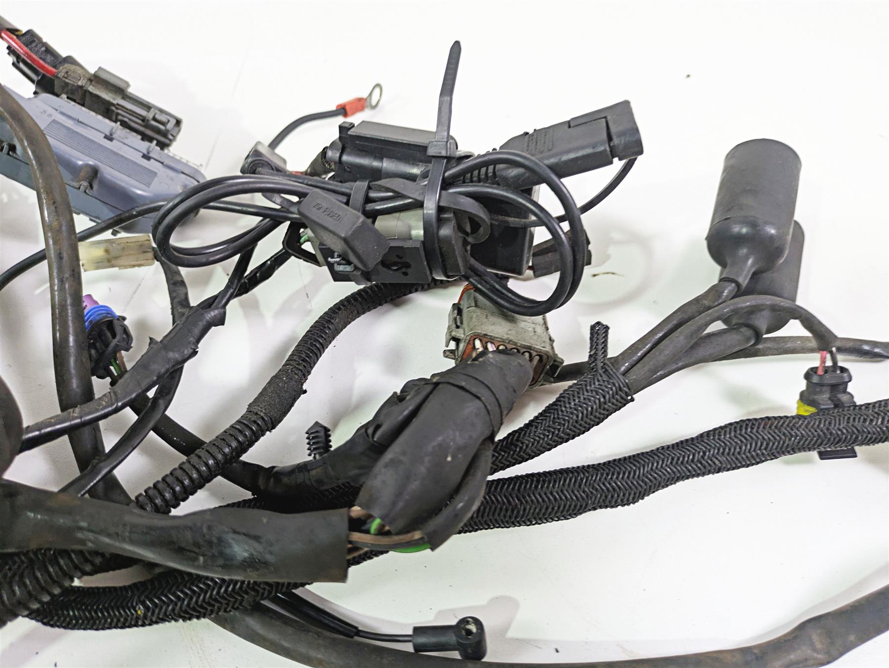 2009 Harley XR1200 Sportster Main & Engine Wiring Harness - Read 70225-08 {{ shop.shopifyCountryName }} - Mototech271