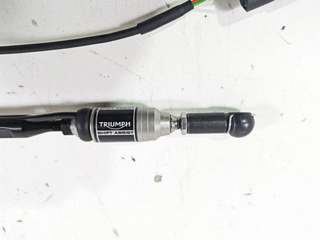 2023 Triumph Street Triple 765 RS Quickshifter Shift Assist Dual T2082984 {{ shop.shopifyCountryName }} - Mototech271