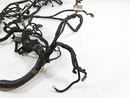 2009 Harley FXDC Dyna Super Glide Custom Wiring Harness Loom 69603-08A {{ shop.shopifyCountryName }} - Mototech271