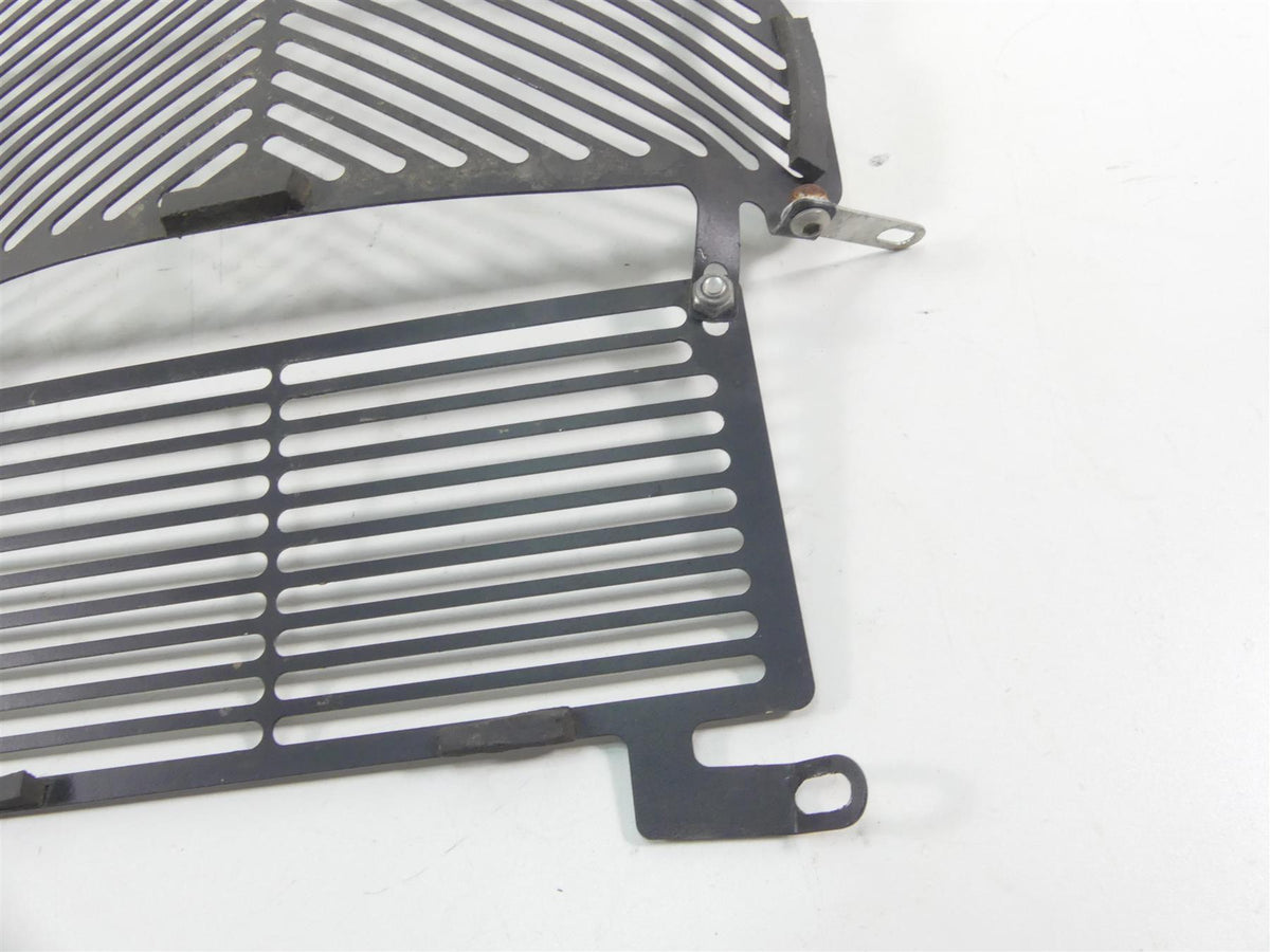 2016 BMW S1000XR K49 Aftermarket Radiator Guard Grill Cover {{ shop.shopifyCountryName }} - Mototech271