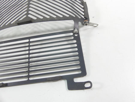 2016 BMW S1000XR K49 Aftermarket Radiator Guard Grill Cover {{ shop.shopifyCountryName }} - Mototech271