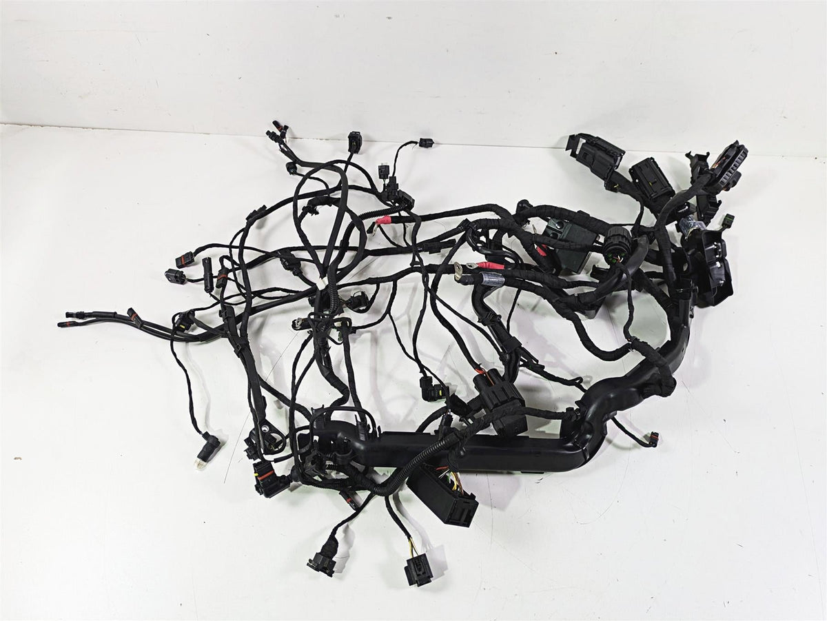 2016 BMW R1200RS K54 Engine & Main Wiring Harness Set 61118552124 12518544470 {{ shop.shopifyCountryName }} - Mototech271