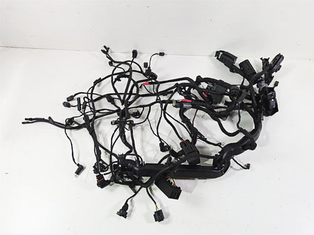 2016 BMW R1200RS K54 Engine & Main Wiring Harness Set 61118552124 12518544470 {{ shop.shopifyCountryName }} - Mototech271