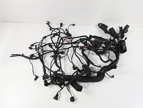 2016 BMW R1200RS K54 Engine & Main Wiring Harness Set 61118552124 12518544470 | Mototech271
