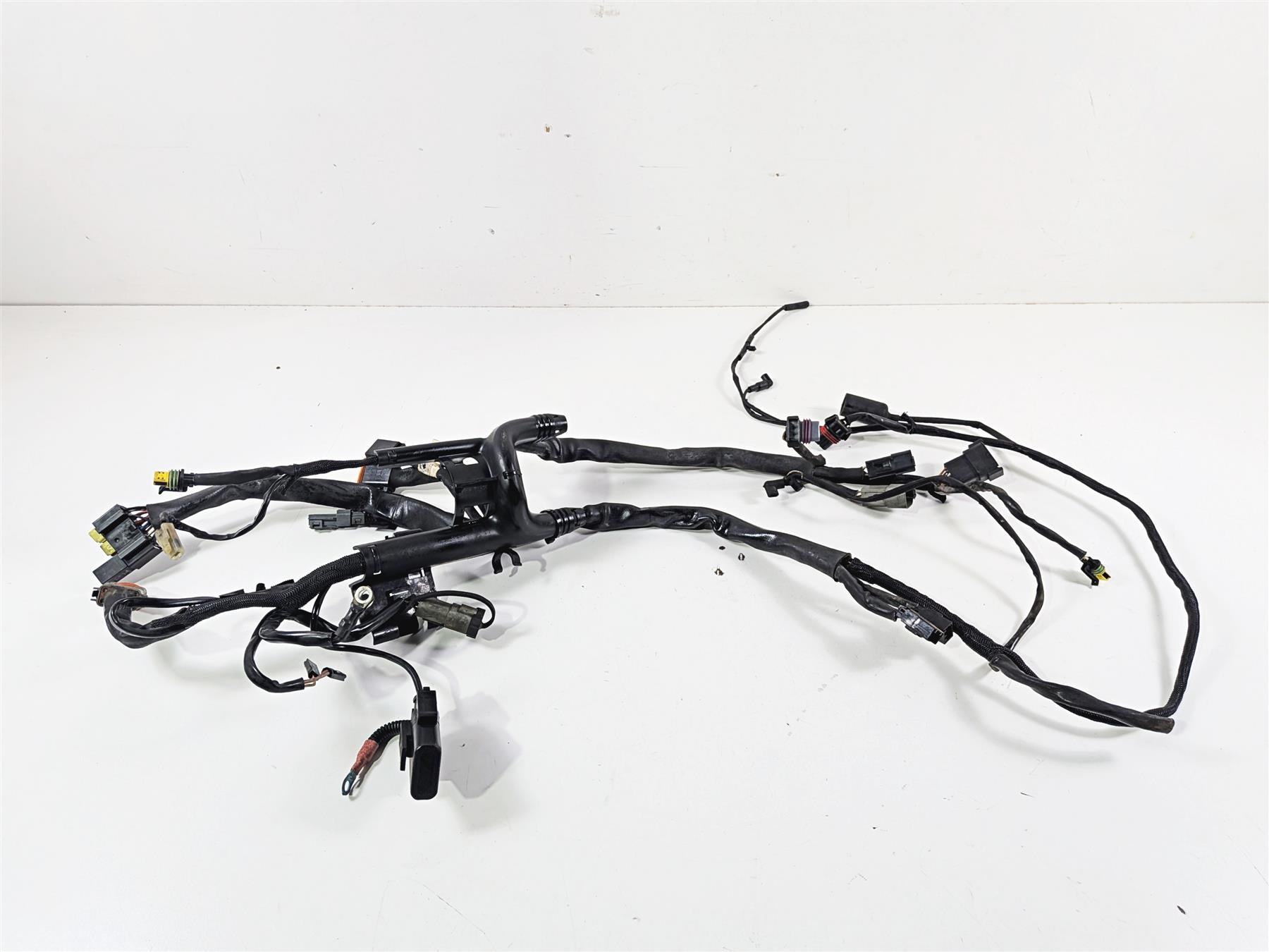 2006 Harley Sportster XL1200 C Main Wiring Harness Loom - Read 70139-06 {{ shop.shopifyCountryName }} - Mototech271